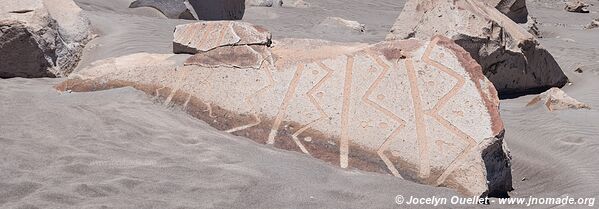 Toro Muerto Petroglyphs - Peru