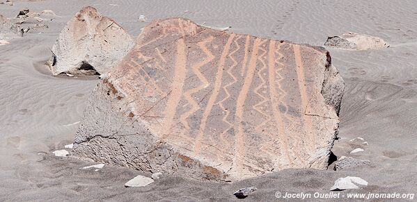 Toro Muerto Petroglyphs - Peru