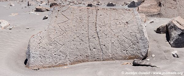 Toro Muerto Petroglyphs - Peru