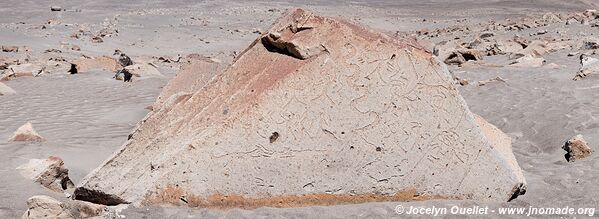 Toro Muerto Petroglyphs - Peru