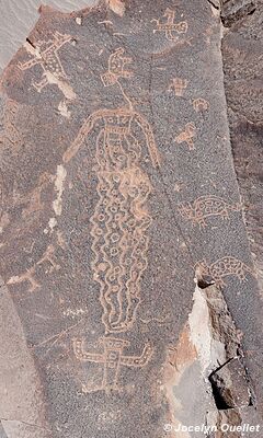 Toro Muerto Petroglyphs - Peru