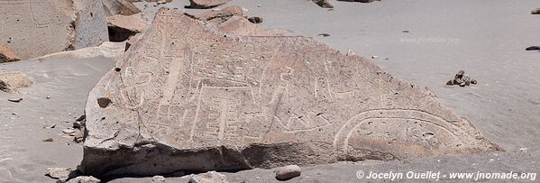 Toro Muerto Petroglyphs - Peru