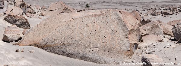 Toro Muerto Petroglyphs - Peru