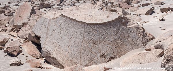 Toro Muerto Petroglyphs - Peru