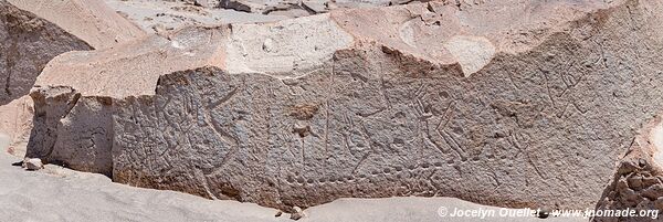 Toro Muerto Petroglyphs - Peru