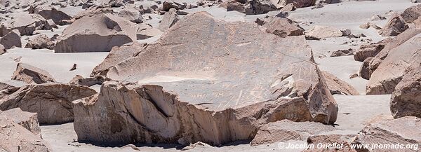 Toro Muerto Petroglyphs - Peru