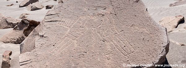 Toro Muerto Petroglyphs - Peru