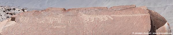 Toro Muerto Petroglyphs - Peru