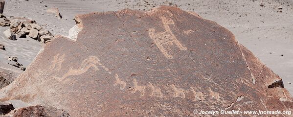 Toro Muerto Petroglyphs - Peru