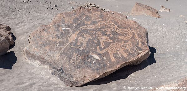 Toro Muerto Petroglyphs - Peru