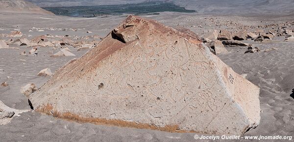 Toro Muerto Petroglyphs - Peru