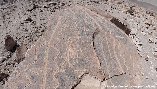 Toro Muerto Petroglyphs - Peru