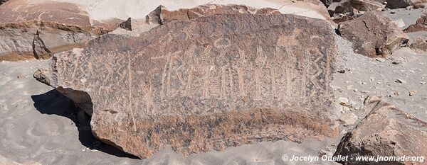 Toro Muerto Petroglyphs - Peru