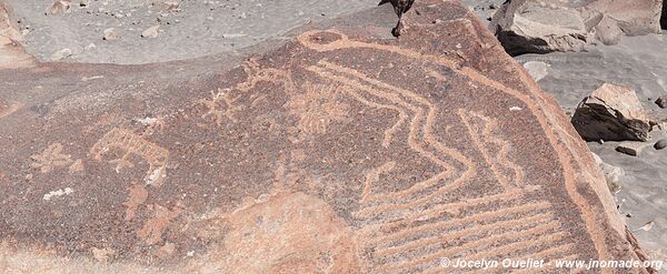 Toro Muerto Petroglyphs - Peru