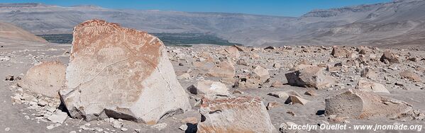 Toro Muerto Petroglyphs - Peru