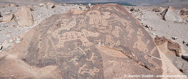 Toro Muerto Petroglyphs - Peru