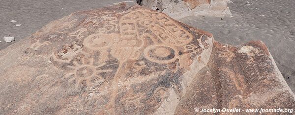 Toro Muerto Petroglyphs - Peru