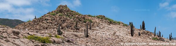 Route de Camaná à la frontière - Pérou