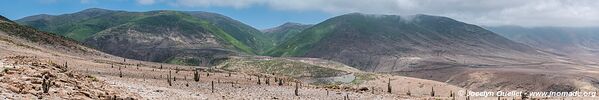 Road from Camaná to the border - Peru