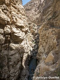 Cañon del Pato - Peru