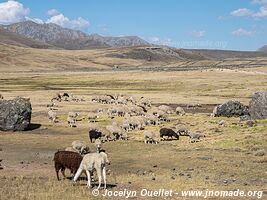 Road from San Mateo de Huanchor to Tanta - Nor Yauyos-Cochas Landscape Reserve - Peru