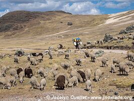 Road from San Mateo de Huanchor to Tanta - Nor Yauyos-Cochas Landscape Reserve - Peru