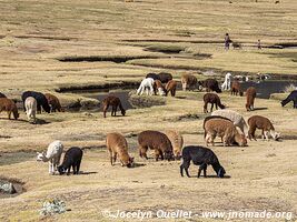 Road from San Mateo de Huanchor to Tanta - Nor Yauyos-Cochas Landscape Reserve - Peru