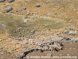 Road from Tanta to Vilca - Nor Yauyos-Cochas Landscape Reserve - Peru