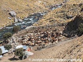 Road from Tanta to Vilca - Nor Yauyos-Cochas Landscape Reserve - Peru