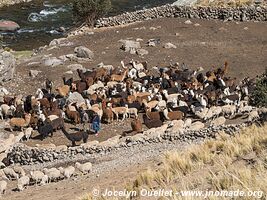 Road from Tanta to Vilca - Nor Yauyos-Cochas Landscape Reserve - Peru