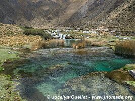 Vilca - Réserve paysagère Nor Yauyos-Cochas - Pérou