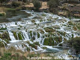 Vilca - Réserve paysagère Nor Yauyos-Cochas - Pérou