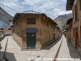 Vitis - Nor Yauyos-Cochas Landscape Reserve - Peru