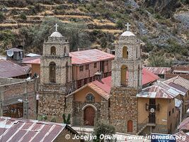 Vitis - Nor Yauyos-Cochas Landscape Reserve - Peru