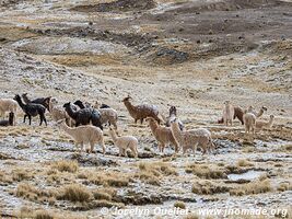 Road from Huancaya to Huancavelica - Peru