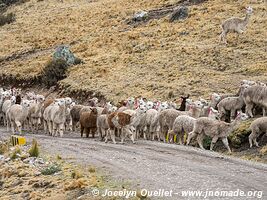 Route de Huancaya à Huancavelica - Pérou