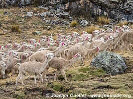 Road from Huancaya to Huancavelica - Peru