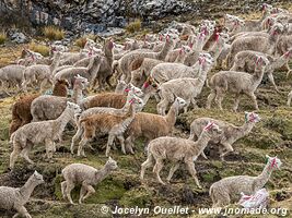 Road from Huancaya to Huancavelica - Peru