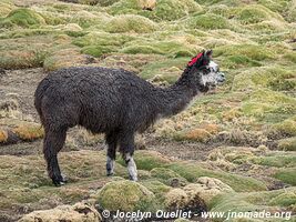 Road from Huancaya to Huancavelica - Peru