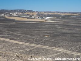 Réserve national de Paracas - Pérou