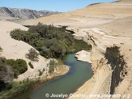 Trail to the Cañon de los Perdidos - Peru