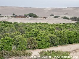 Santa Cruz River - Peru