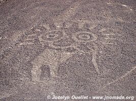 Palpa Geoglyphs - Palpa - Peru