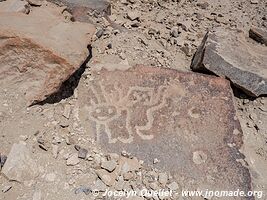 Chichictara Petroglyphs - Palpa - Peru