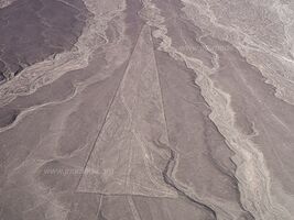 Nazca Lines - Nazca - Peru