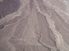 Lignes de Nazca - Nazca - Pérou