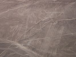 Lignes de Nazca - Nazca - Pérou