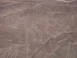 Lignes de Nazca - Nazca - Pérou