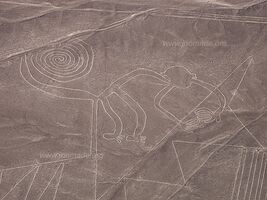 Nazca Lines - Nazca - Peru