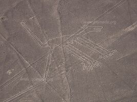 Nazca Lines - Nazca - Peru